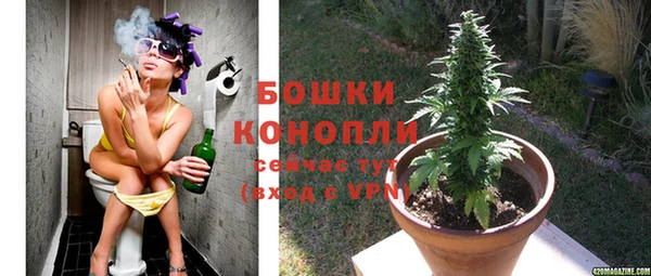 таблы Вяземский