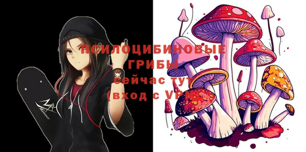 таблы Вяземский