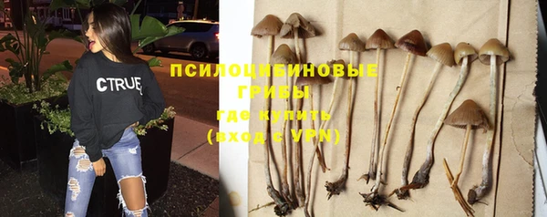таблы Вяземский