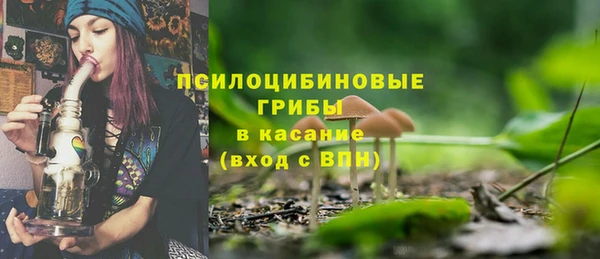 таблы Вяземский